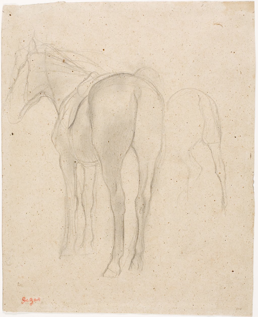 Hevosen opintoja tekijältä Edgar Degas