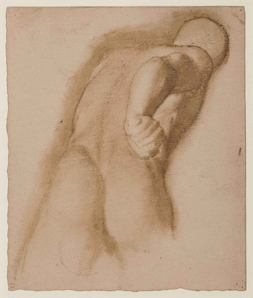 Tutkimus Agasiaksen Efesolaisen, "Gladiaattori Borghesen" mukaan, n. 1855 tekijältä Edgar Degas