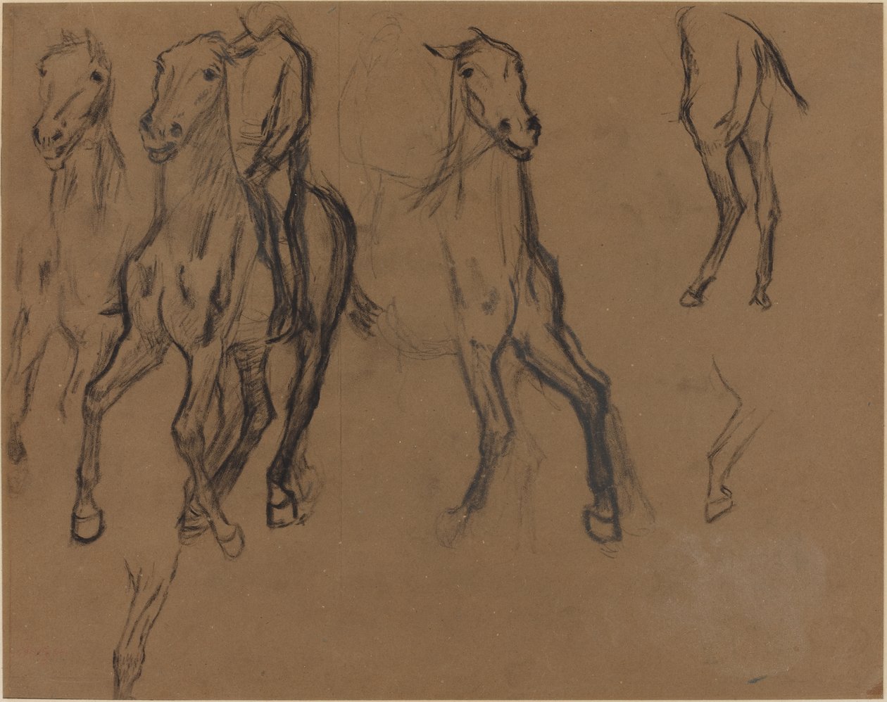 Study of Horses, n. 1886 (hiili ja grafiitti ruskealla paperilla) tekijältä Edgar Degas