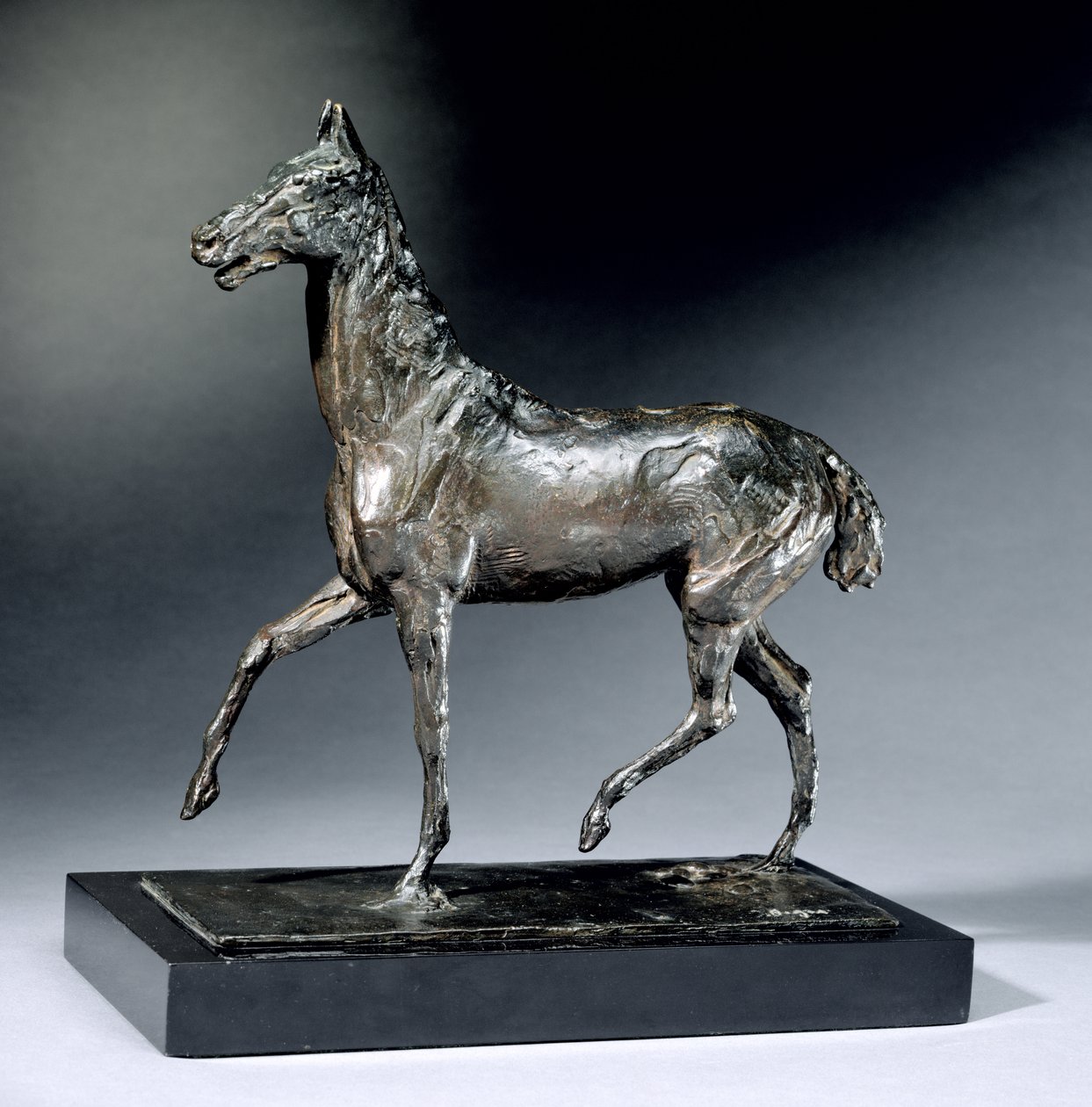 Ravihevonen (pronssi) tekijältä Edgar Degas