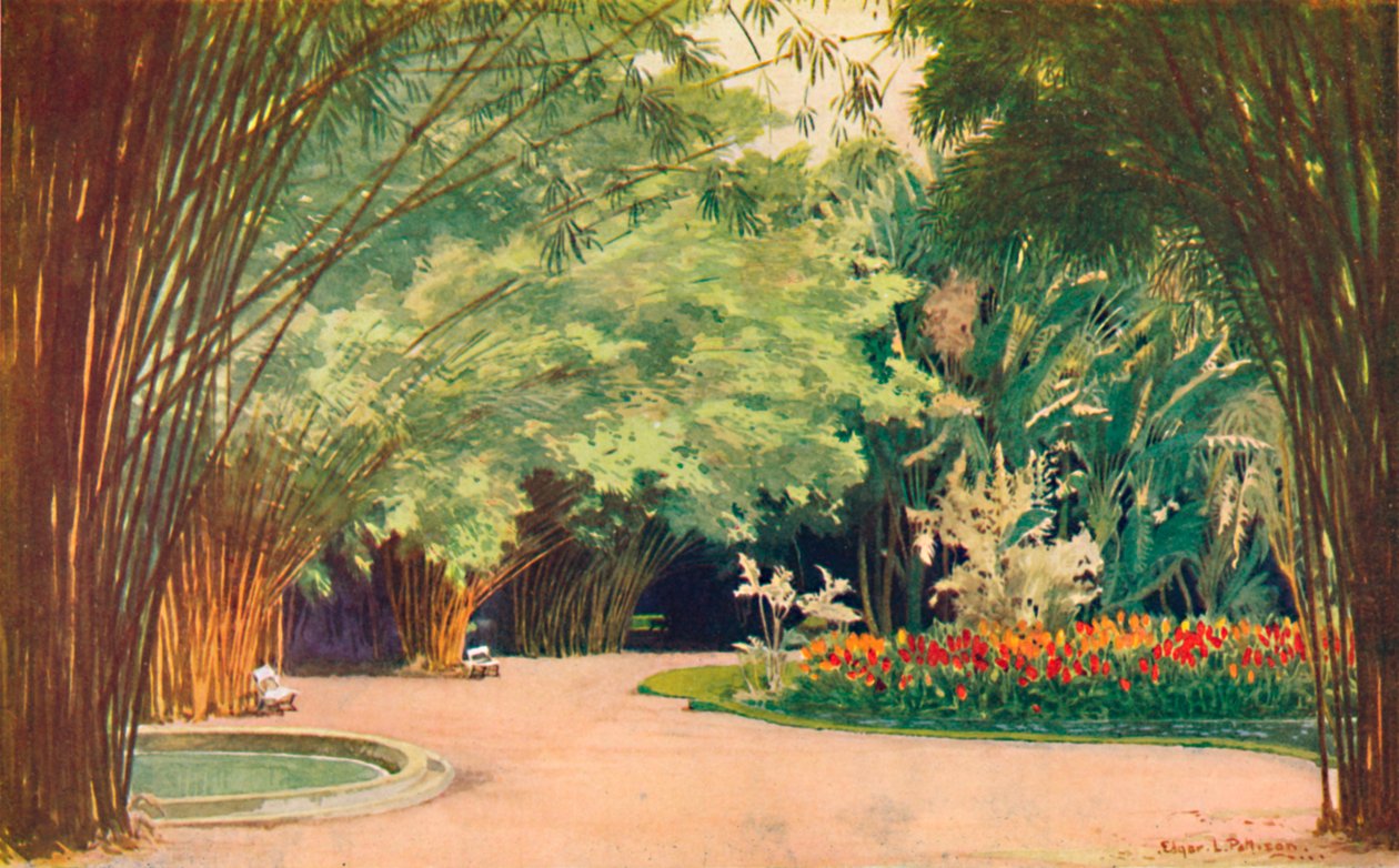 Bamboo Grove - Kasvitieteellinen puutarha, 1914 tekijältä Edgar L. Pattison