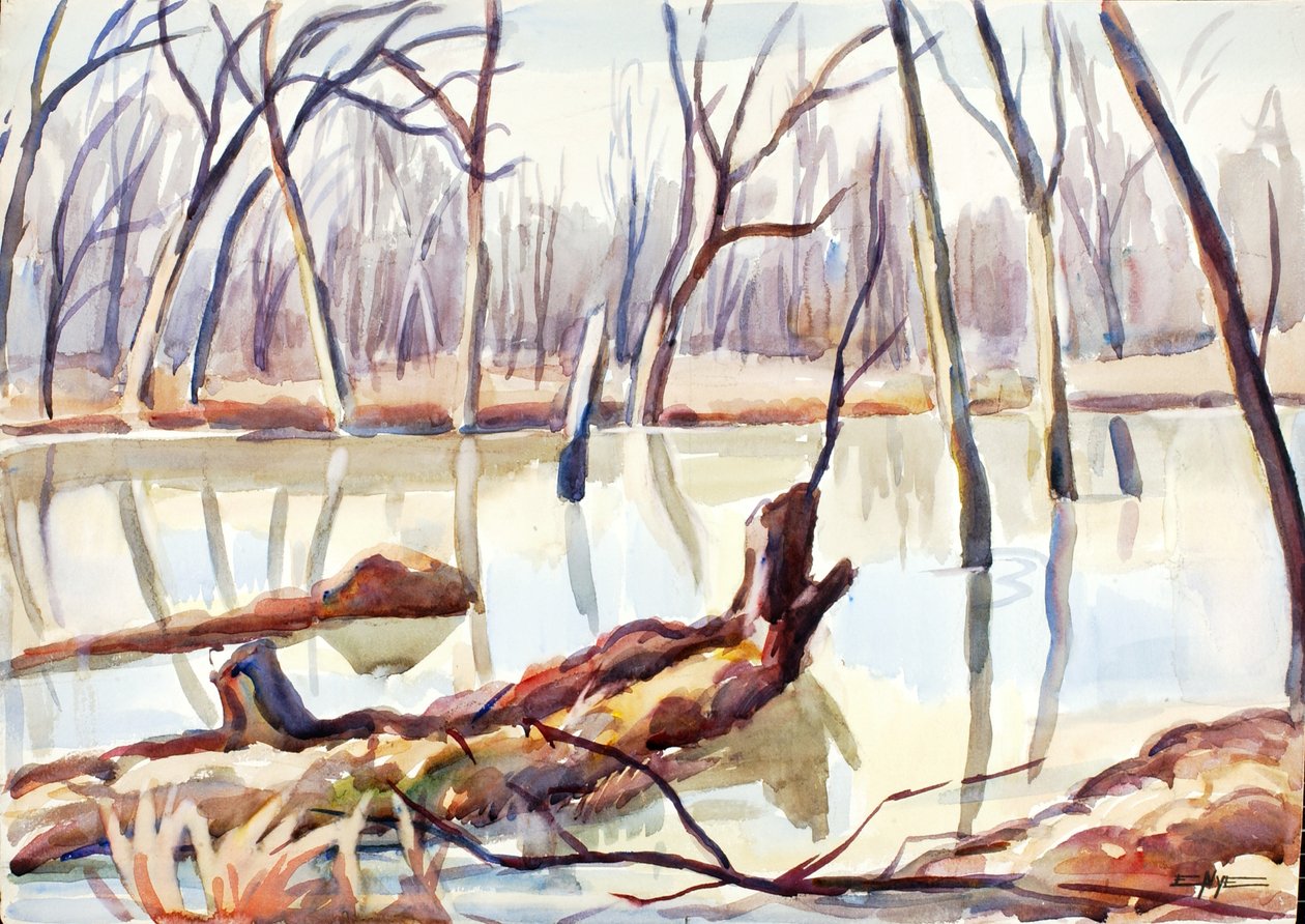 Rock Creek, talvi, n. 1920-1929. tekijältä Edgar Nye