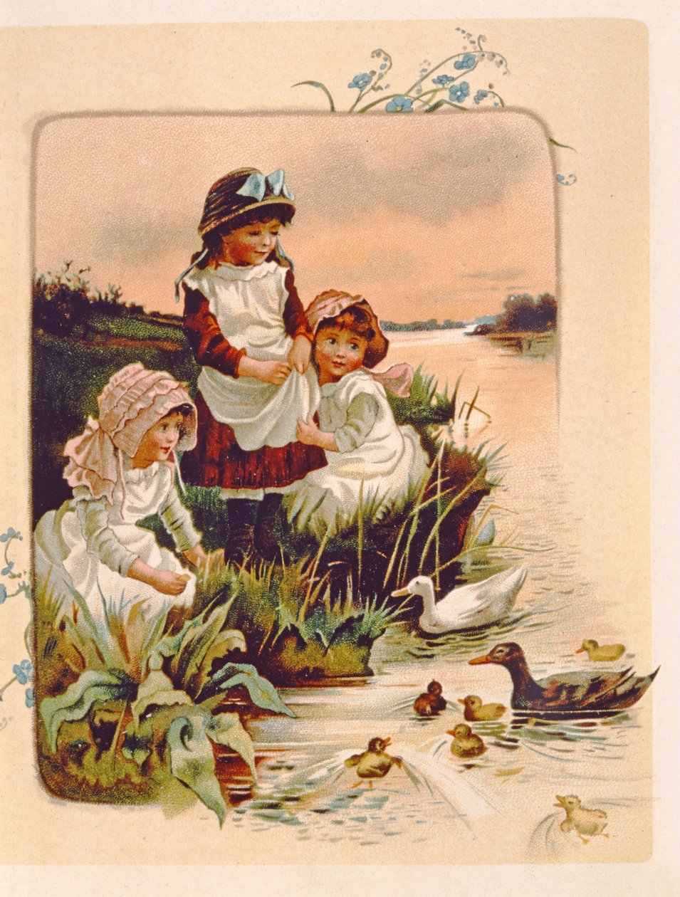 Feeding Ducks, kuvitus elokuvasta "Missä liljat elävät", 1889 tekijältä Edith S. Berkeley