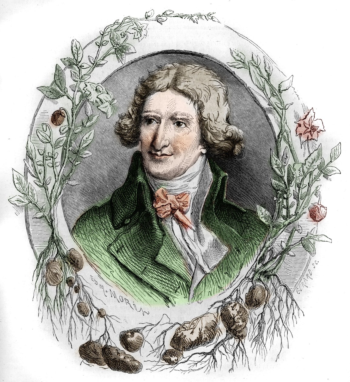 Antoine Augustin Parmentier (1737-1813), ranskalaisen sotilasapteekin ja agronomin muotokuva. Kaiverrus Edmond Morin tekijältä Edmond Morin