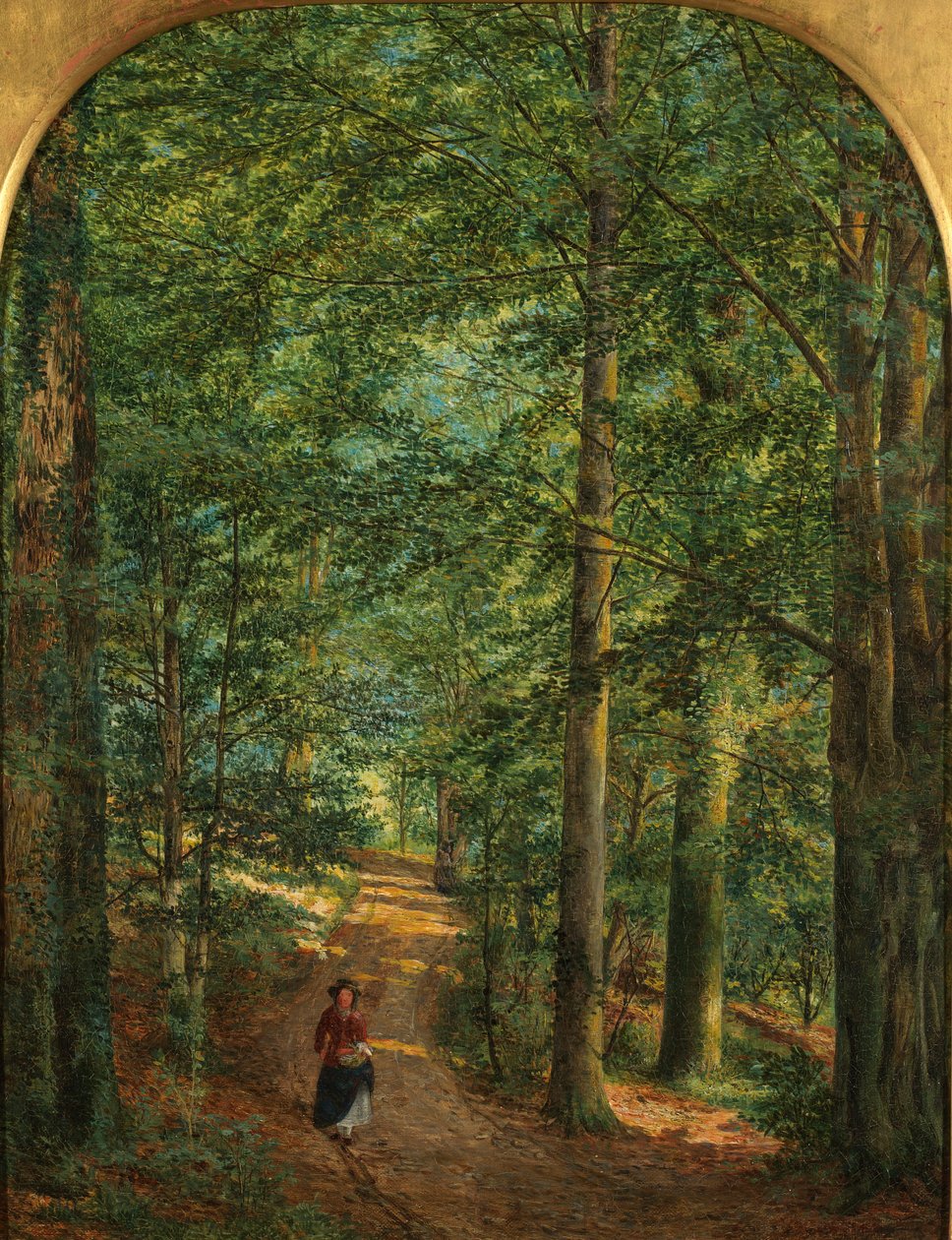 Metsässä tekijältä Edmund George Warren