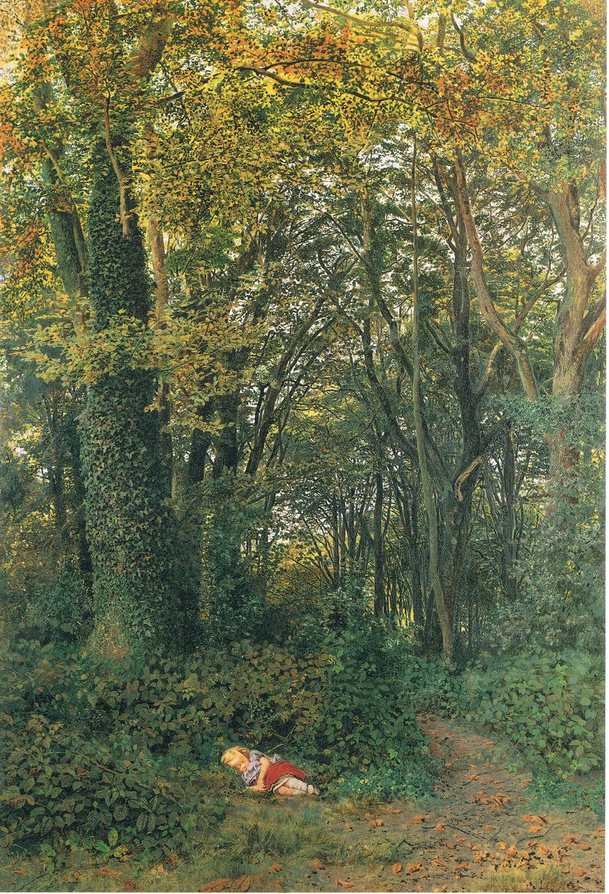 Eksynyt metsään tekijältä Edmund George Warren
