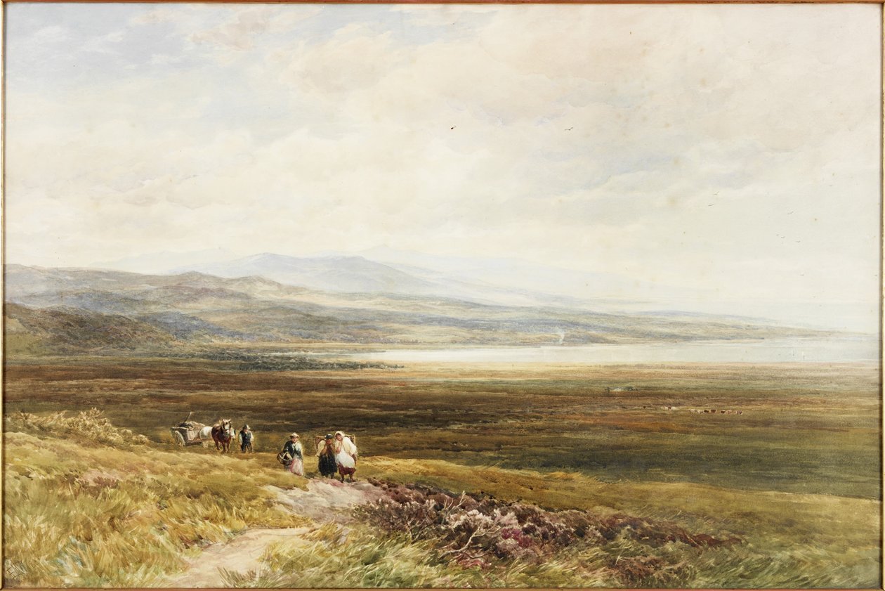 Scotch Moor (akvarelli paperille) tekijältä Edmund Morison Wimperis