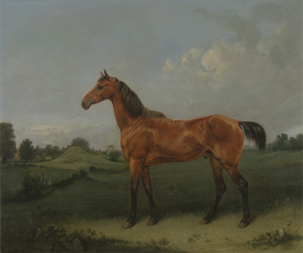 Lahden hevonen pellolla (öljy kankaalle) tekijältä Edmund Bristow