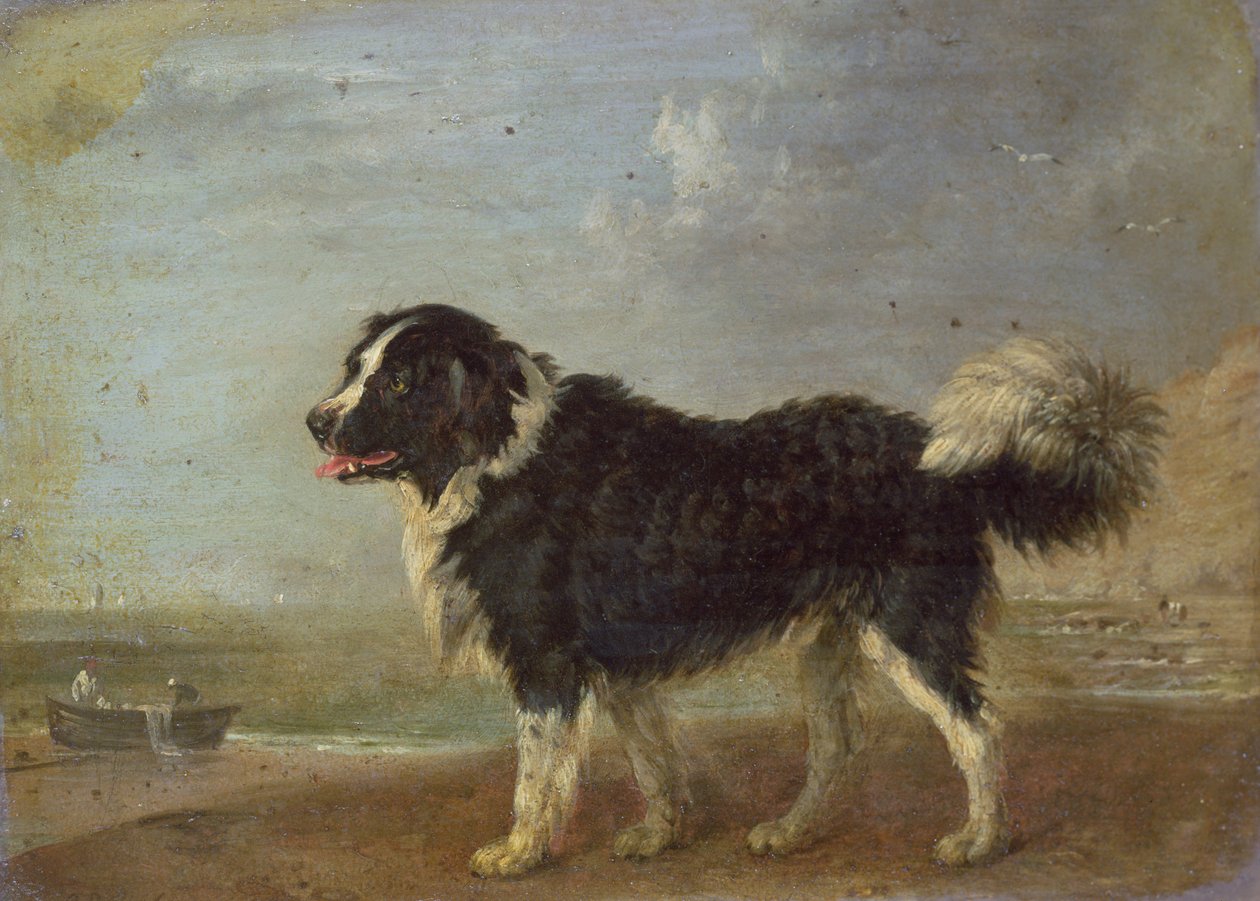 Tuntematon kuva tekijältä Edmund Bristow