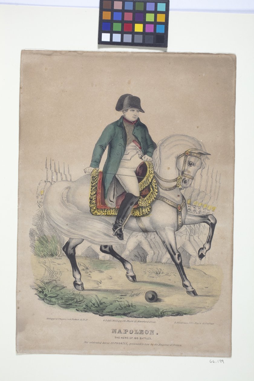 Napoleon - 100 taistelun sankari (käsinvärjätty litografia) tekijältä Edmund Burke Kellogg