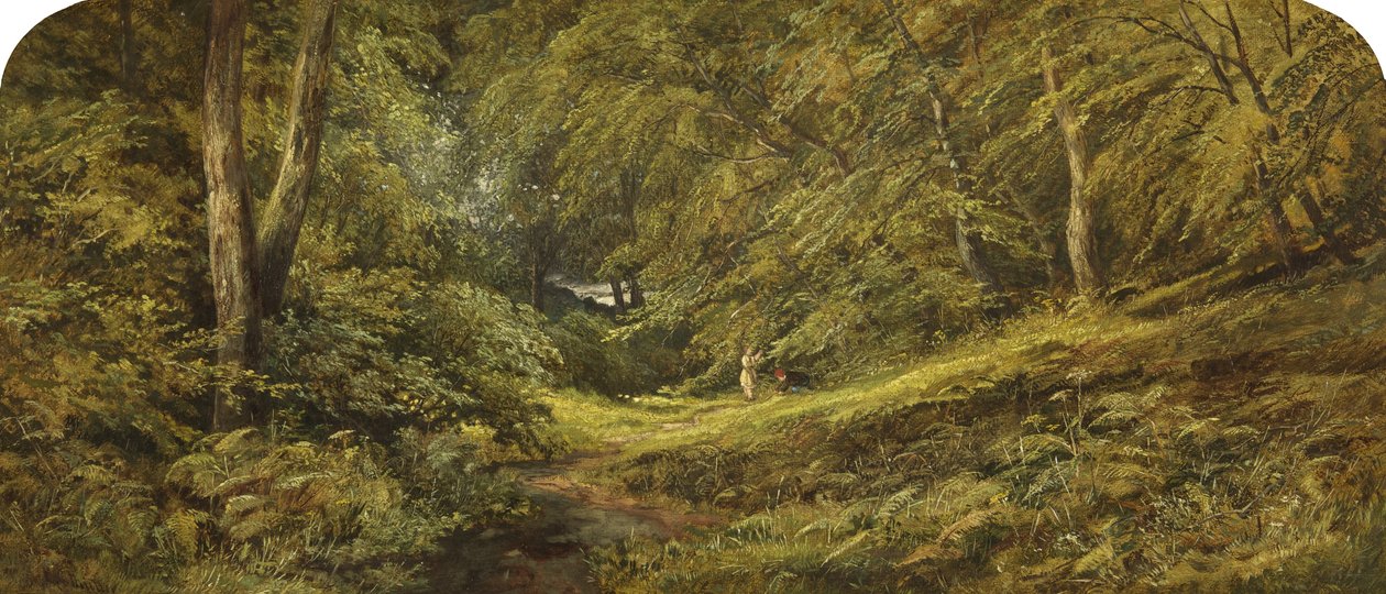 Sketch - In the Woods (öljy kankaalle) tekijältä Edmund G. Muller