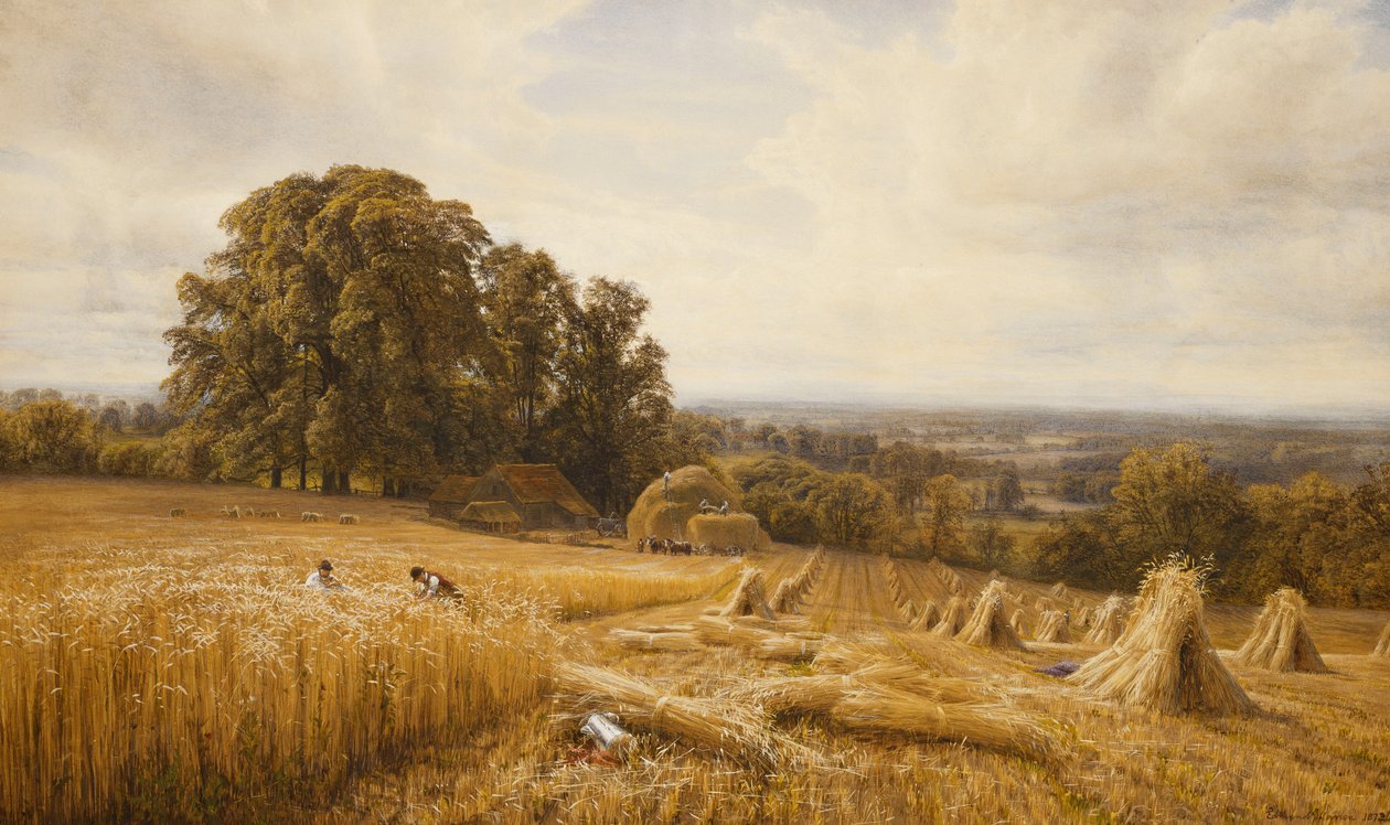 Laaja maisema harvesterien kanssa, 1873 tekijältä Edmund George Warren
