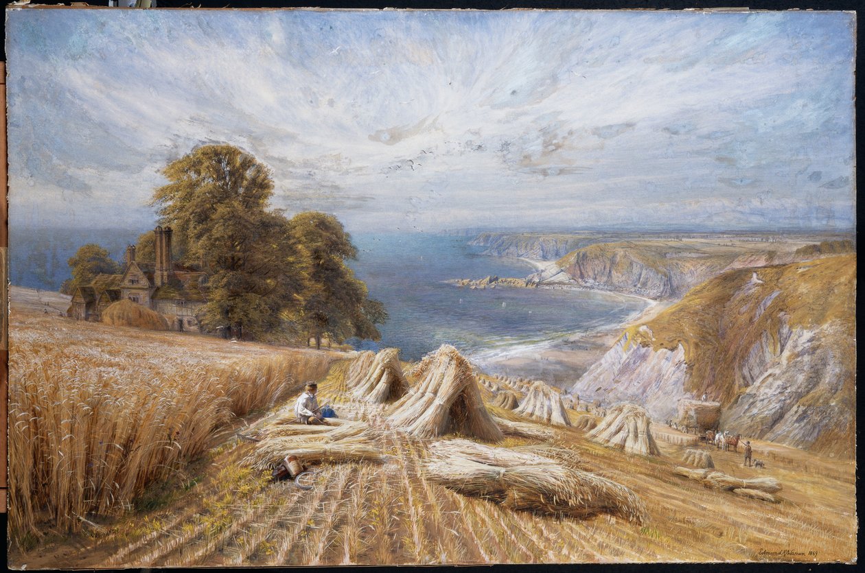 Sadonkorjuu etelärannikolla, 1869 tekijältä Edmund George Warren