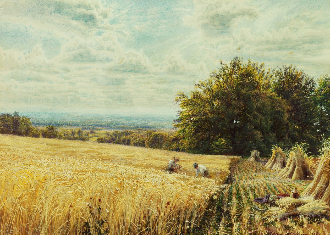 Harvesterit, 1865 tekijältä Edmund George Warren