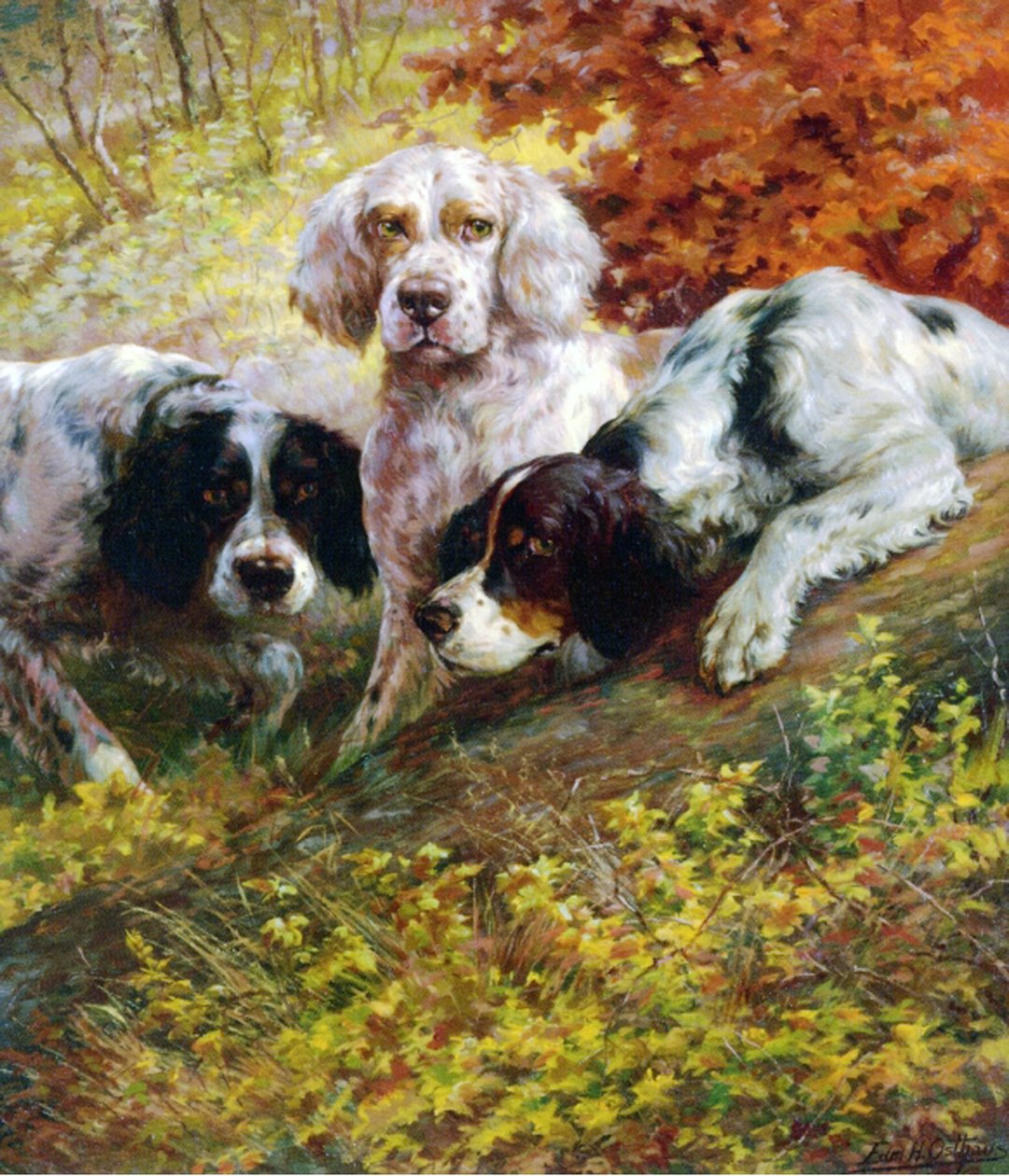 setterit tekijältä Edmund Henry Osthaus