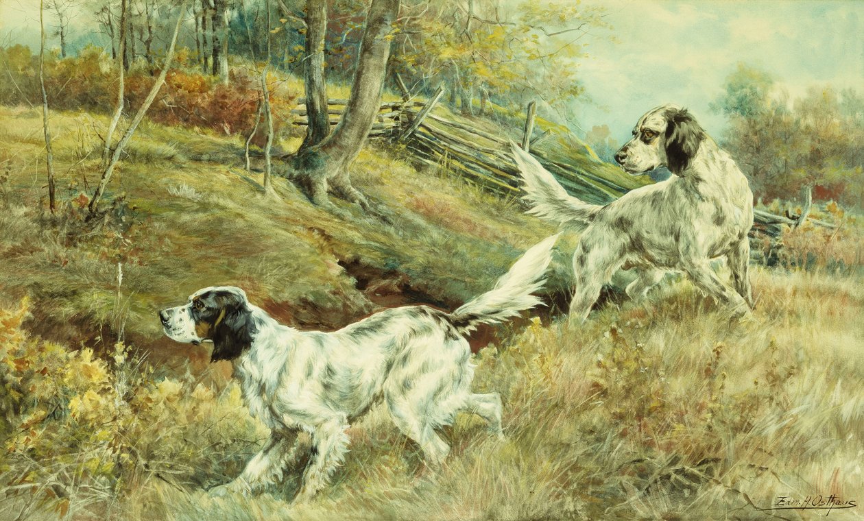 Pudotus, tekijältä Edmund Henry Osthaus