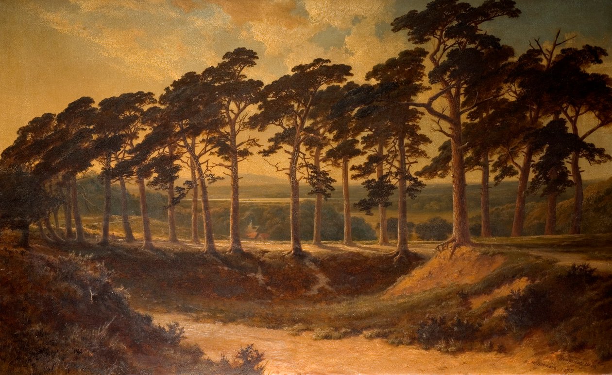 Harrow from the First, Hampstead Heath, 1875 tekijältä Edmund John Niemann