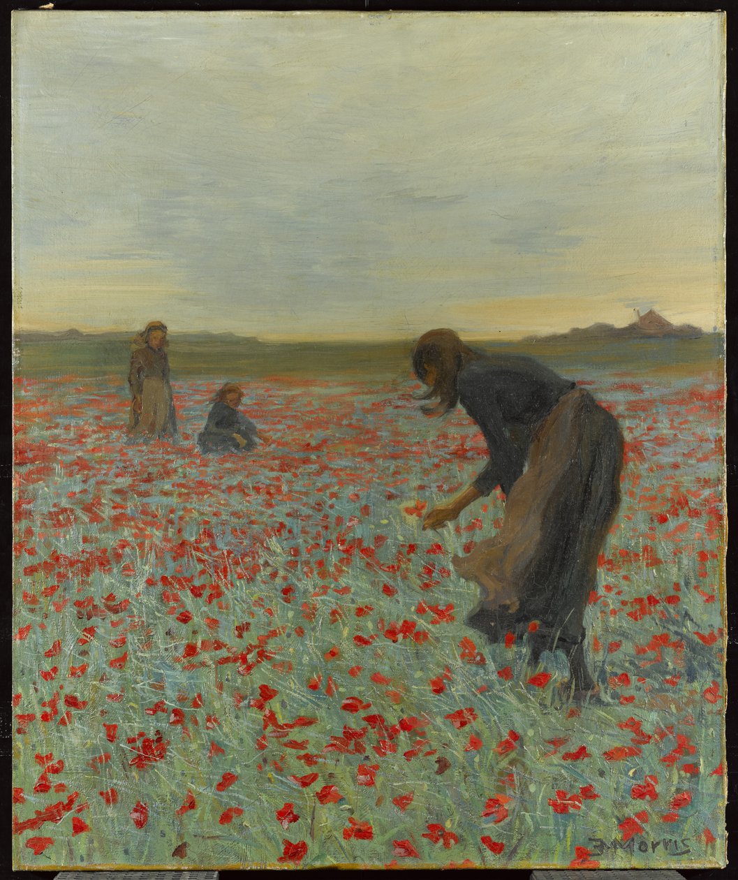 Tytöt unikkopellolla, n. 1896 tekijältä Edmund Montague Morris