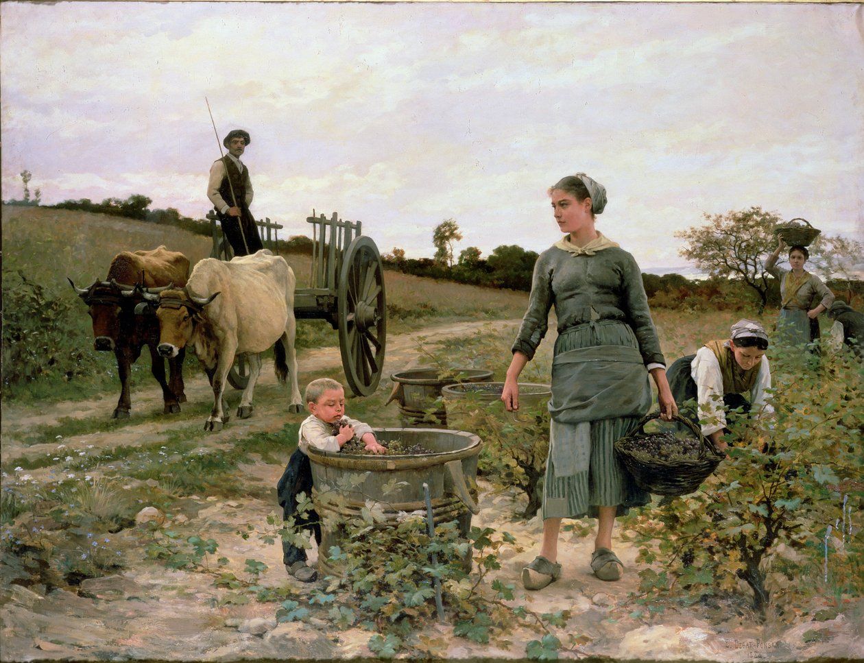 Viinitarhan kulma, Languedoc, 1886 tekijältä Edouard Debat Ponsan