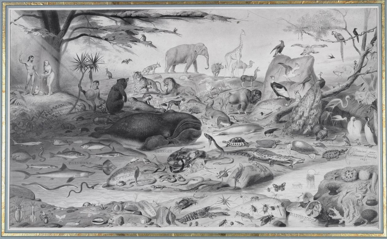 Adam ja Eeva ja eläimet, 1841 tekijältä Edouard Travies