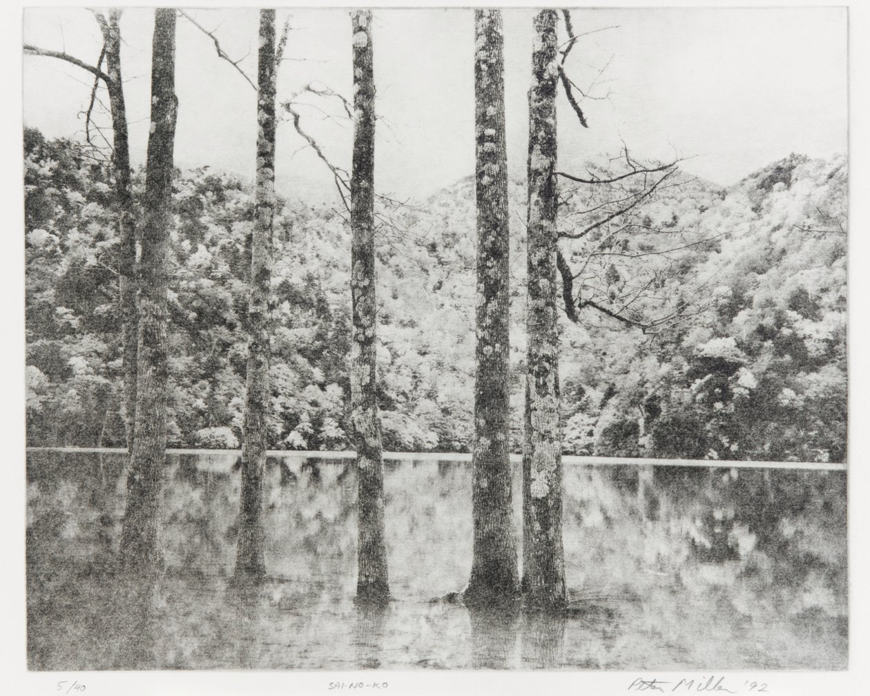 Toki-Noko, 1992 tekijältä Edouard Cremieux