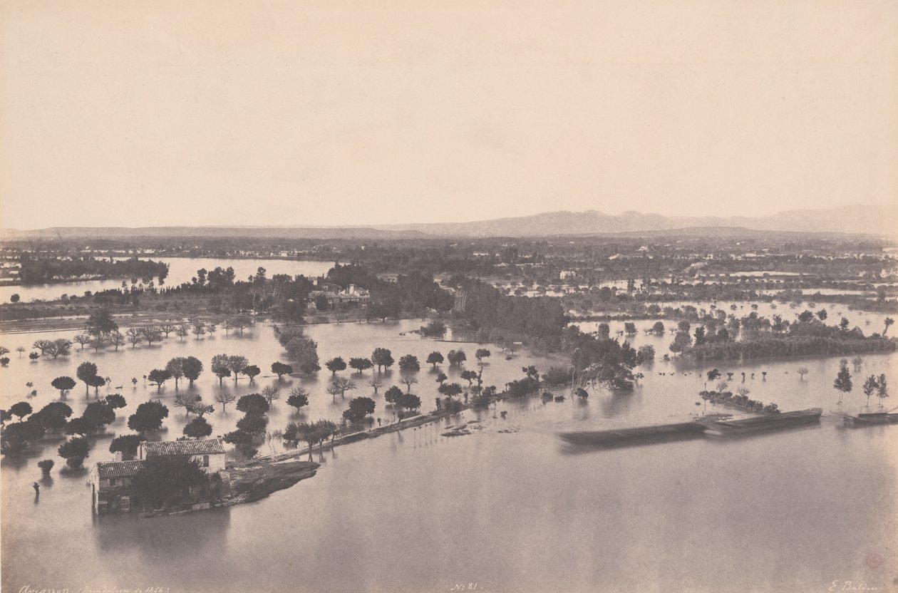 Avignon (Vuoden 1856 tulva) tekijältä Edouard Denis Baldus