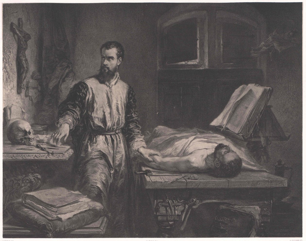 Andrew Vesalius tekijältä Edouard Jean Conrad (after) Hamman