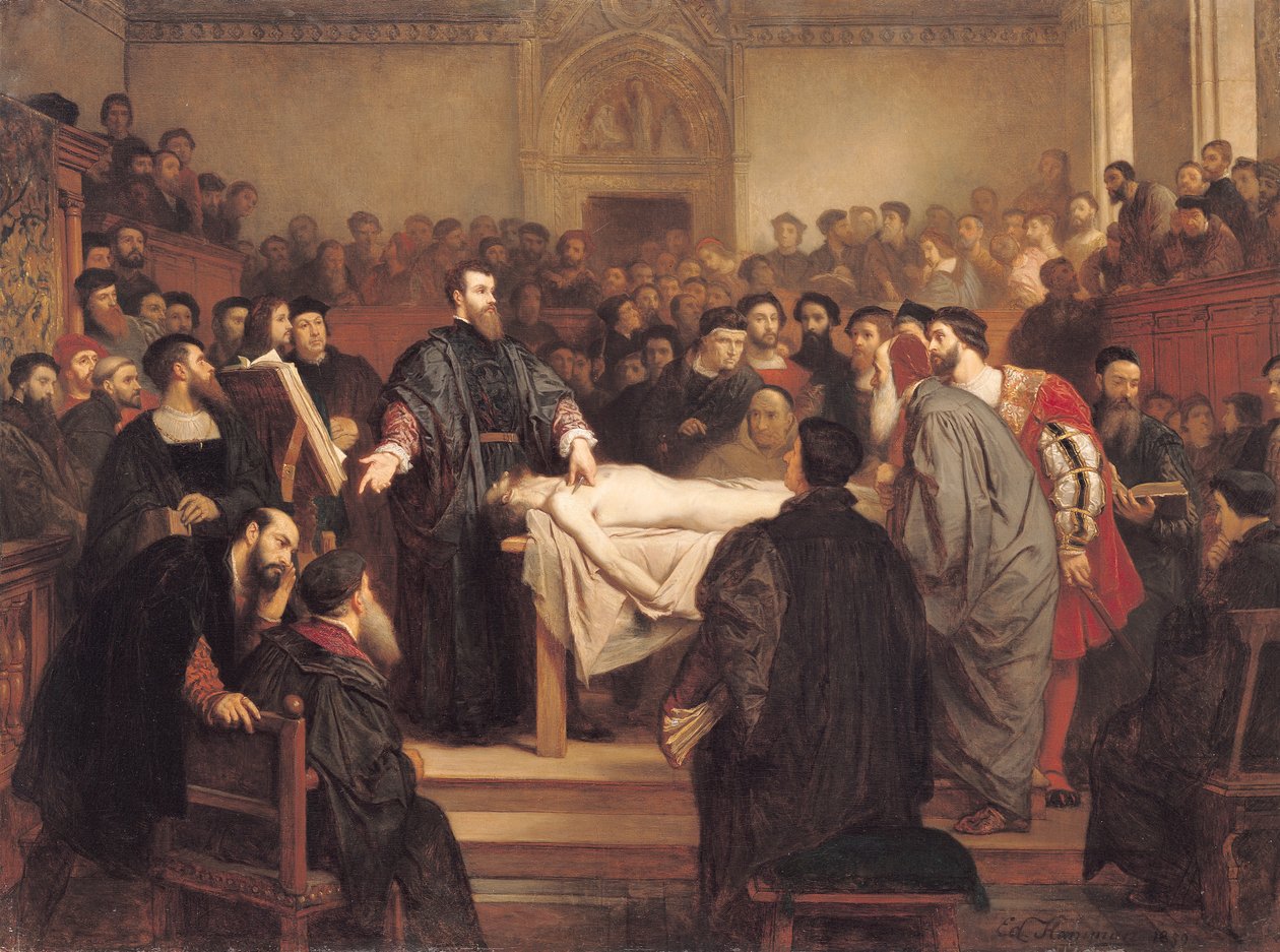 Andreas Vesalius (1514-64) Padovassa, 1859 tekijältä Edouard Jean Conrad Hamman