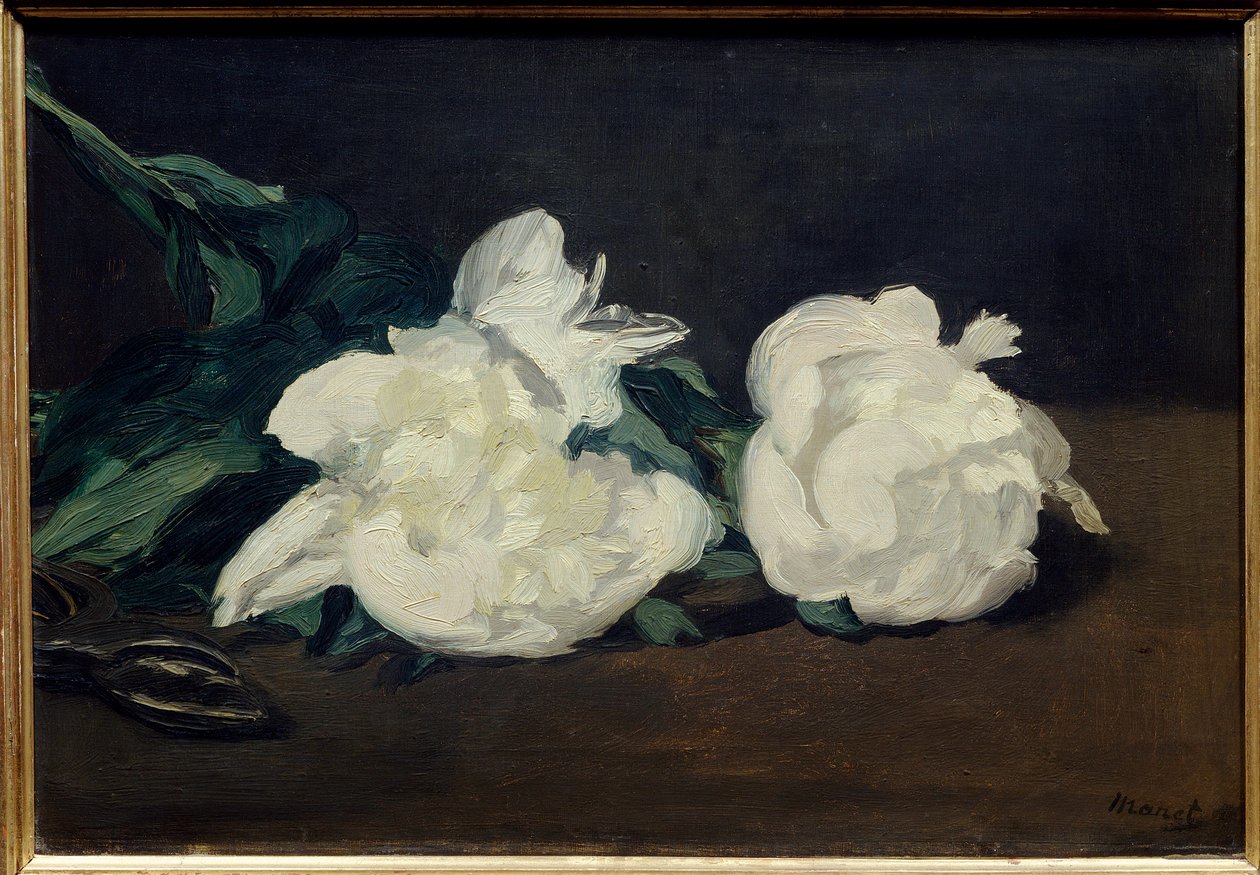 Valkoisten pionien oksa ja oksasaha Edouard Manet