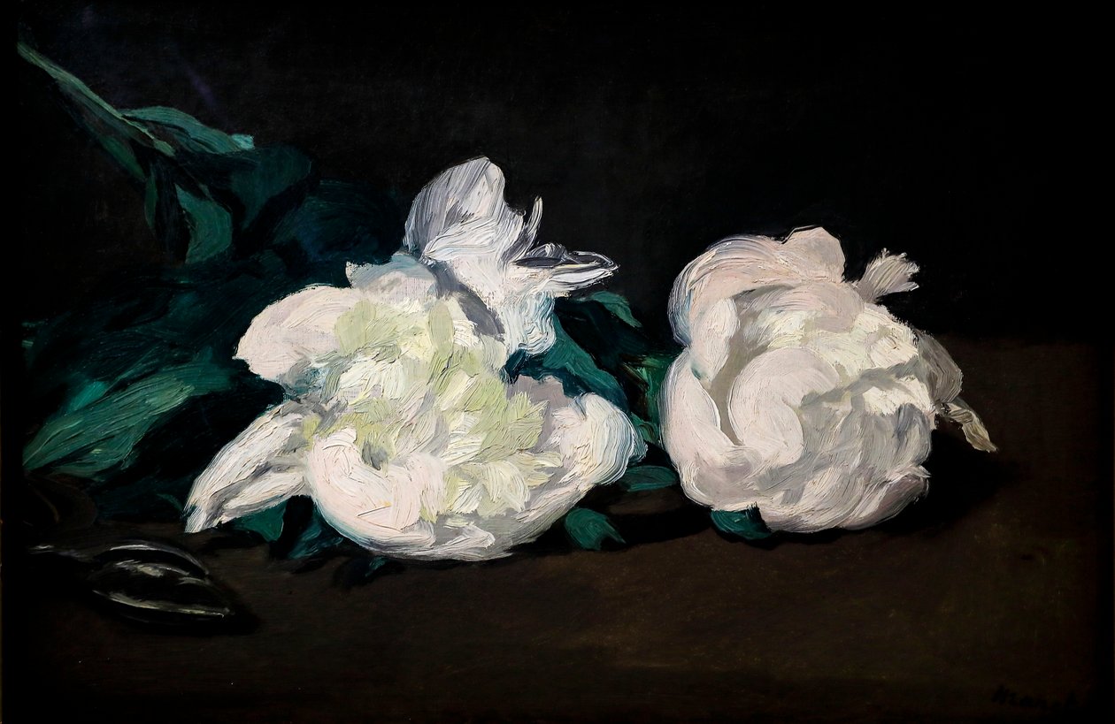Valkoisten pionien ja oksasakset tekijältä Édouard Manet