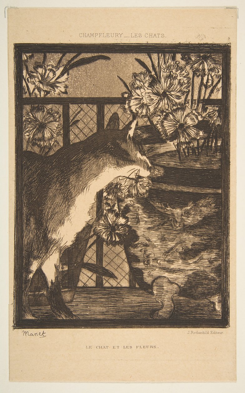 Kissa ja kukat. Kuvitus Champfleuryn kissoihin, 1869. tekijältä Édouard Manet