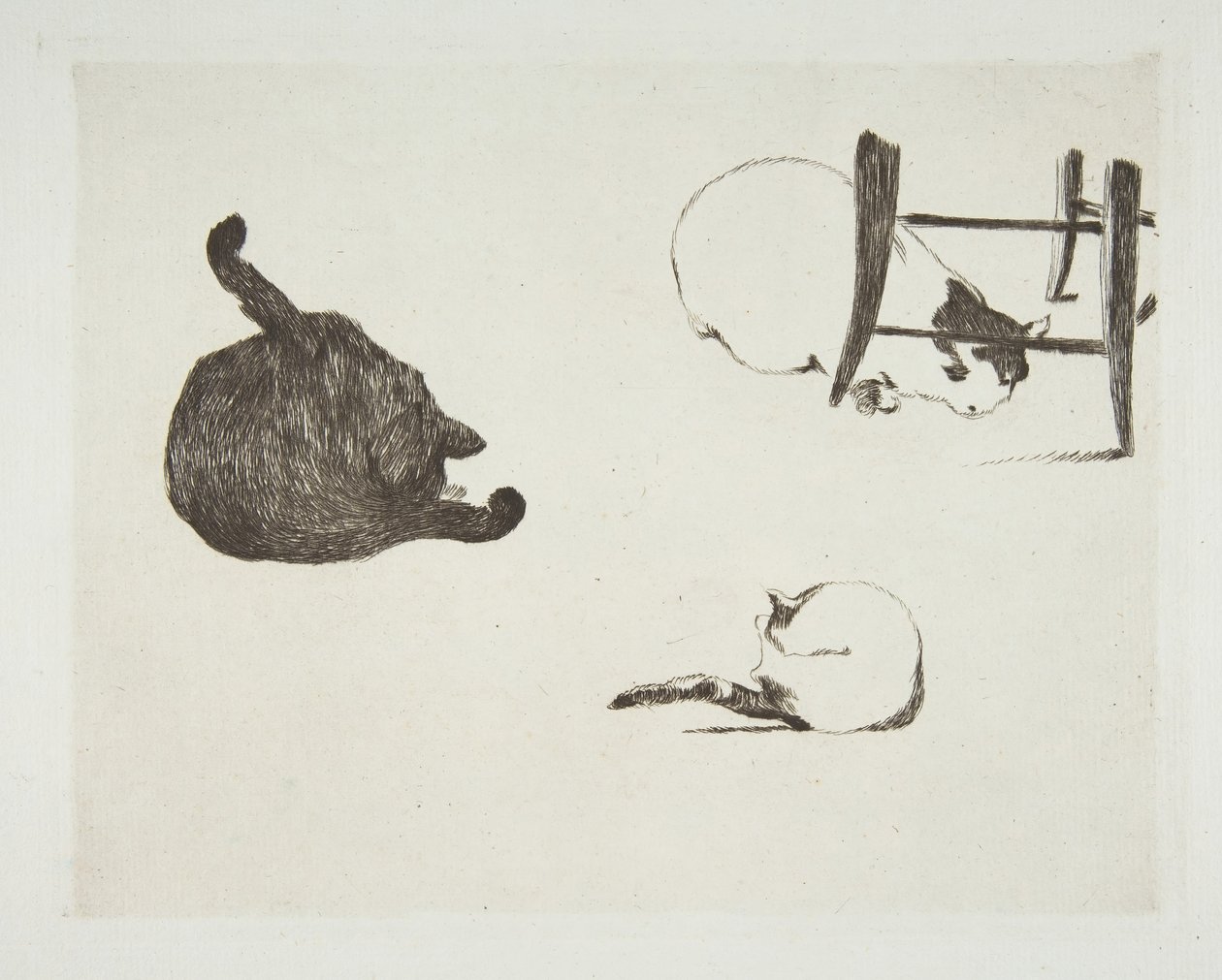 Kissat, 1868-69. tekijältä Édouard Manet