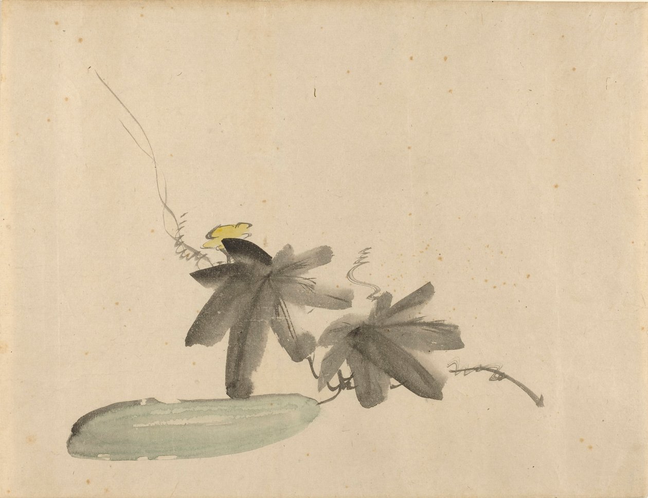 Kurkku lehtineen tekijältä Édouard Manet