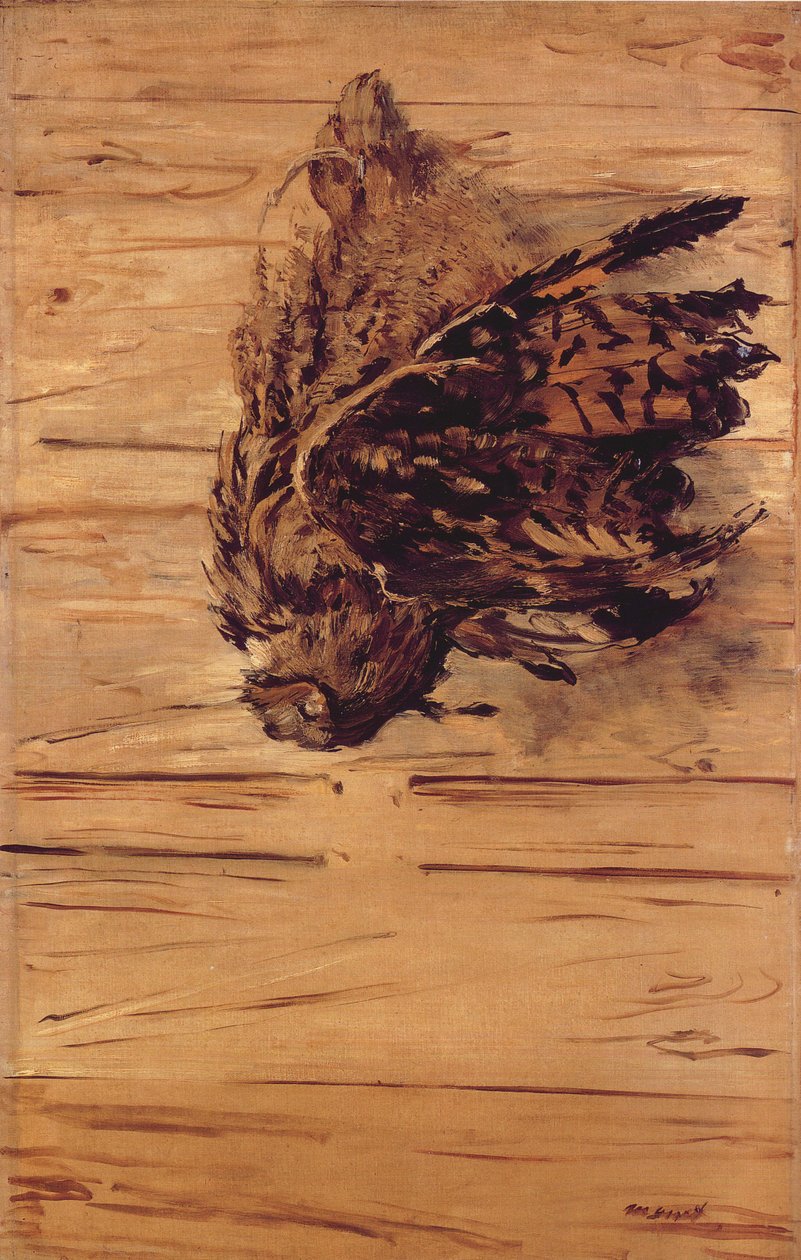 Kuollut kotka pöllö tekijältä Édouard Manet