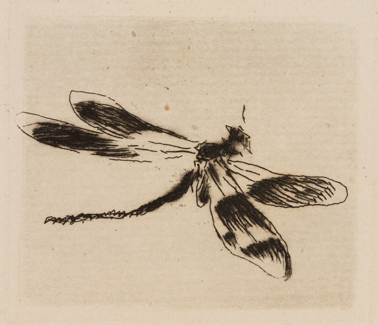 Dragonfly, levy 1, The River tekijältä Édouard Manet