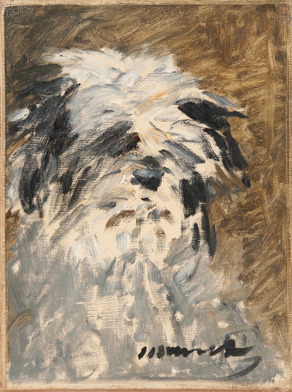 Ranskalainen:  Minnay Minnay tekijältä Édouard Manet