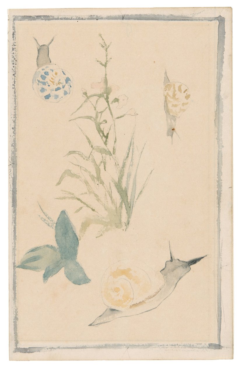 Manet - Luonnoksia etanoista ja kukkivista kasveista, 1864-68. tekijältä Édouard Manet