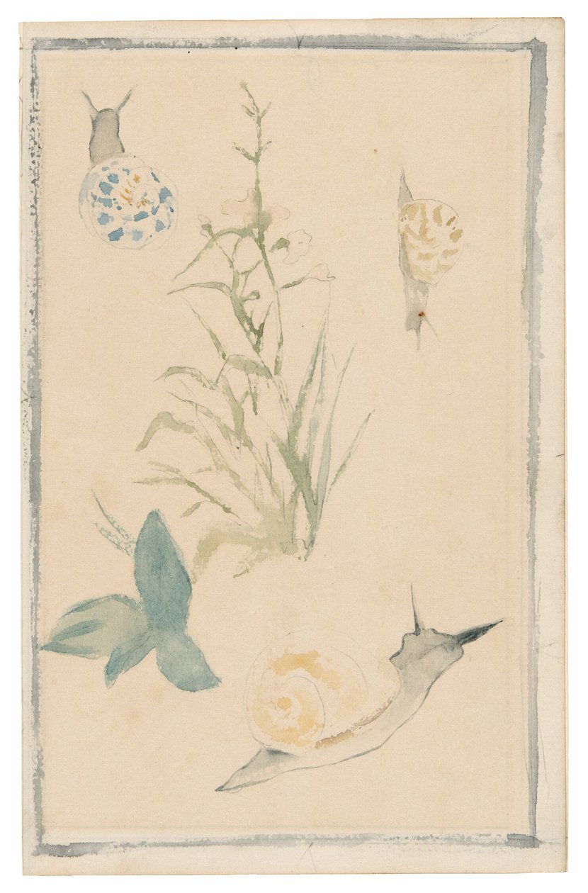 Luonnoksia etanoista, kukkiva kasvi tekijältä Édouard Manet