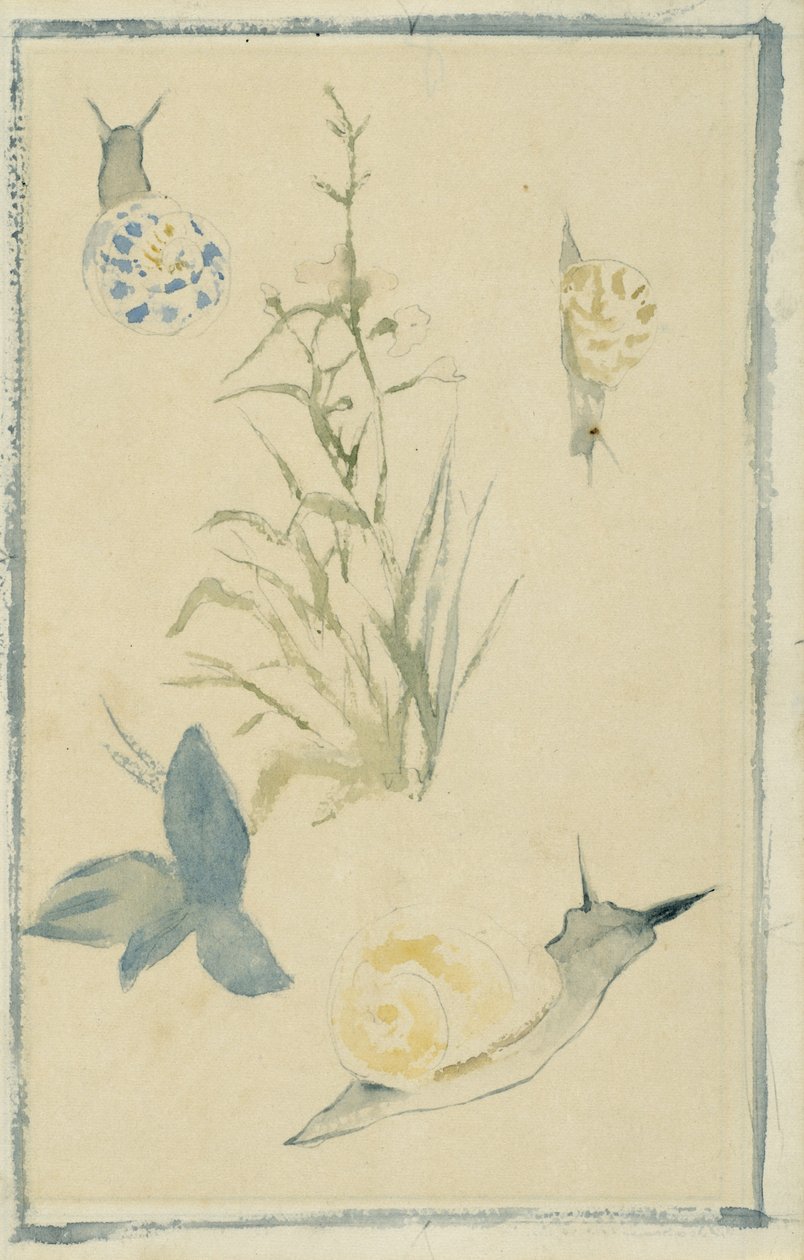 Luonnokset etanoista, kukkiva kasvi, n.1880 tekijältä Édouard Manet