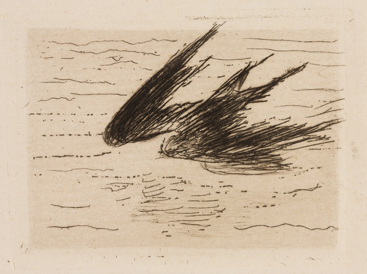Pääskyset, levy 8 Le Fleuve -lehdestä tekijältä Édouard Manet