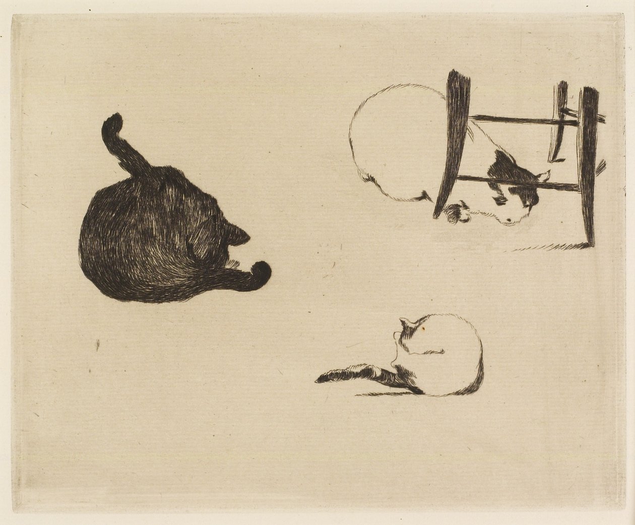 Kissat, 1869 tekijältä Édouard Manet