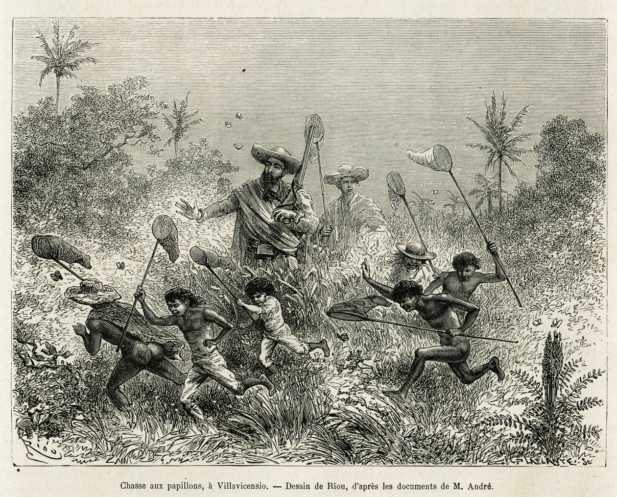 Lapsijoukko metsästi perhosia, mukana kirjailija, Villavicensio (Kolumbia), piirtänyt Riou havainnollistamaan tarinaa Equinoxiale Americasta (Kolumbia, Ecuador, Peru) vuosina 1875-1876, kirjoittanut Ed. andre, F:n tehtävästä vastaava matkustaja tekijältä Edouard Riou