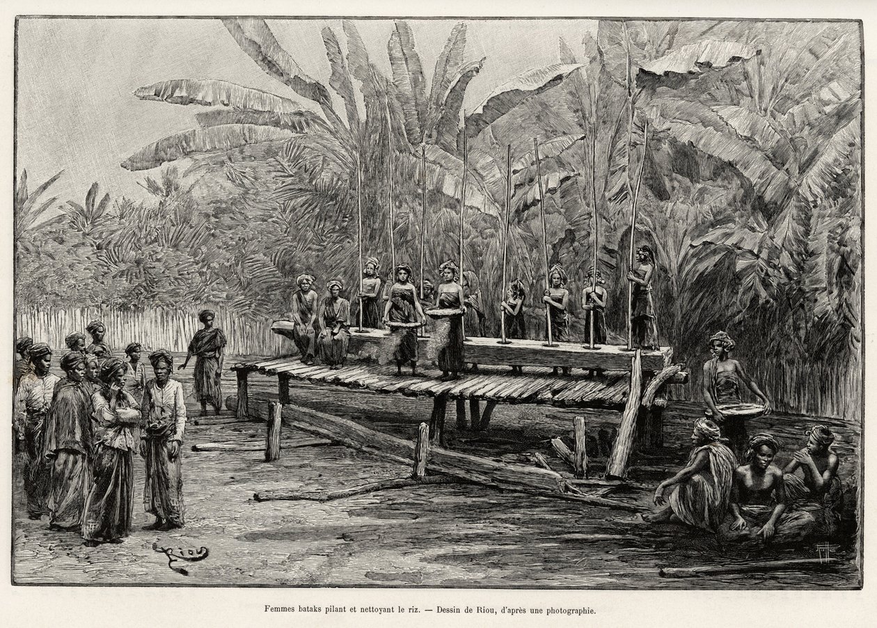 Batak-naiset, pohjoisen Sumatran etninen ryhmä, jyskyttävä ja puhdistava riisiä. Rioun kaiverrus havainnollistamaan tarinaa "vuosi Malesiassa", Jules Claine (1856-1939) tekijältä Edouard Riou