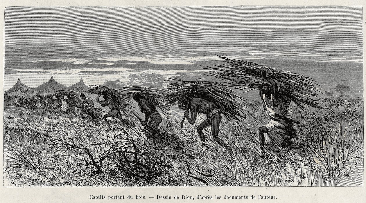 Vangit kantavat puuta pensaassa. Rioun kaiverrus havainnollistamaan tarinaa "" Nigeristä Guineanlahdelle", kirjoittanut kapteeni Louis Gustave Binger (1856-1936), vuosina 1887-1889, Le tour du monde, nouveau journal des voyages, johdolla Edouarista tekijältä Edouard Riou