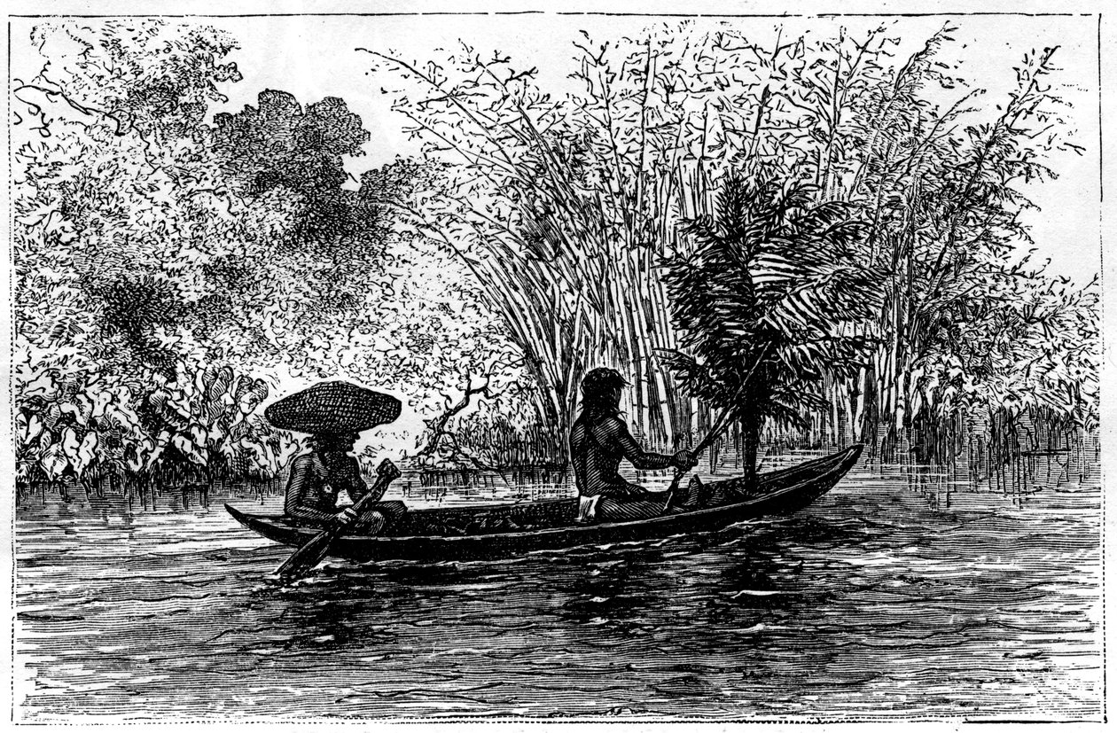 Korsu Essequibo-joessa, Guyana, 1800-luku tekijältä Edouard Riou
