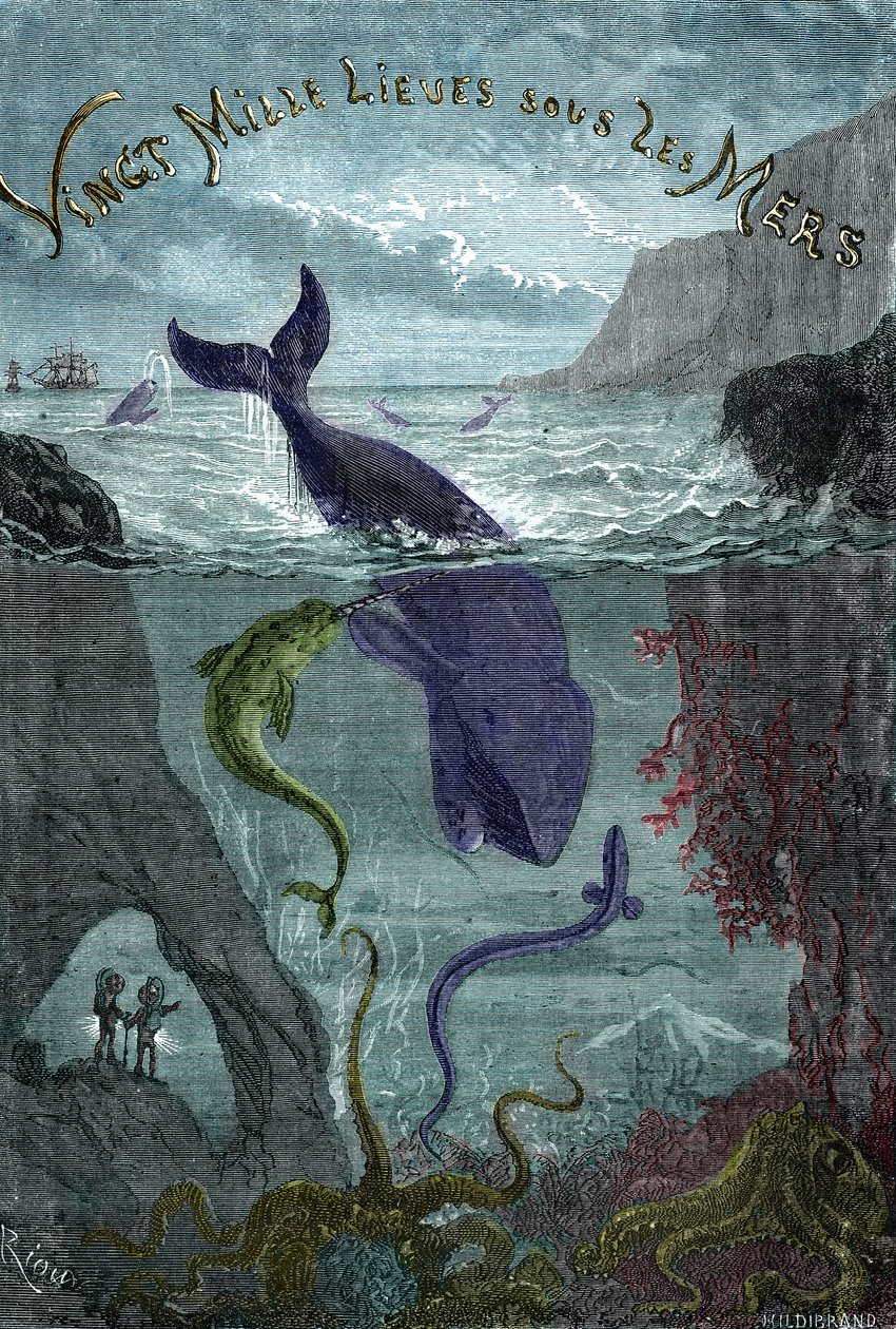 Kaiverrus Jules Vernen kirjasta "Twenty thousand lieues sous les mers" (Kaksikymmentätuhatta - 20,000 - 20000). tekijältä Edouard Riou