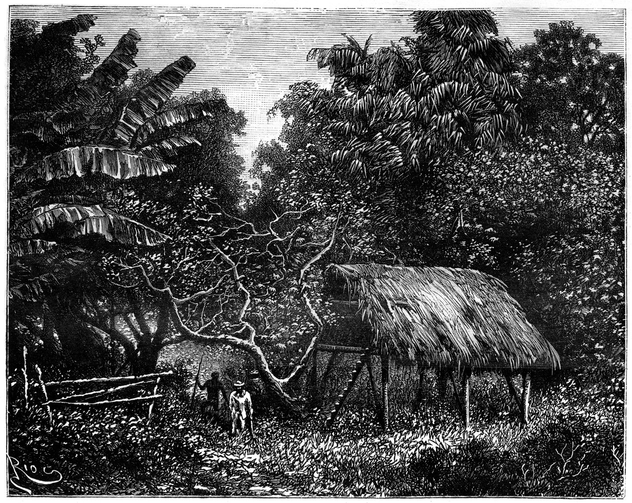 Guyana, Etelä-Amerikka, 1800-luku tekijältä Edouard Riou