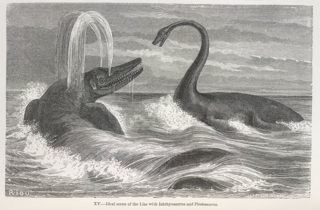 "Ihanteellinen kohtaus ihthyosaurusten ja plesiosaurusten kanssa" tekijältä Edouard Riou