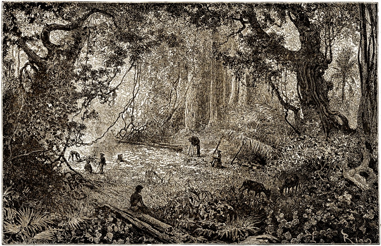 Tutkimusmatkailijoiden leirin pystytys Guatemalassa (1882) tekijältä Edouard Riou