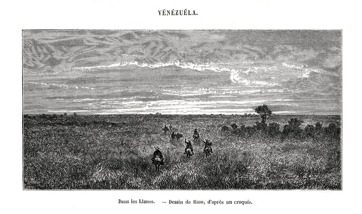 Los Llanos, Venezuela, 1800-luku tekijältä Edouard Riou